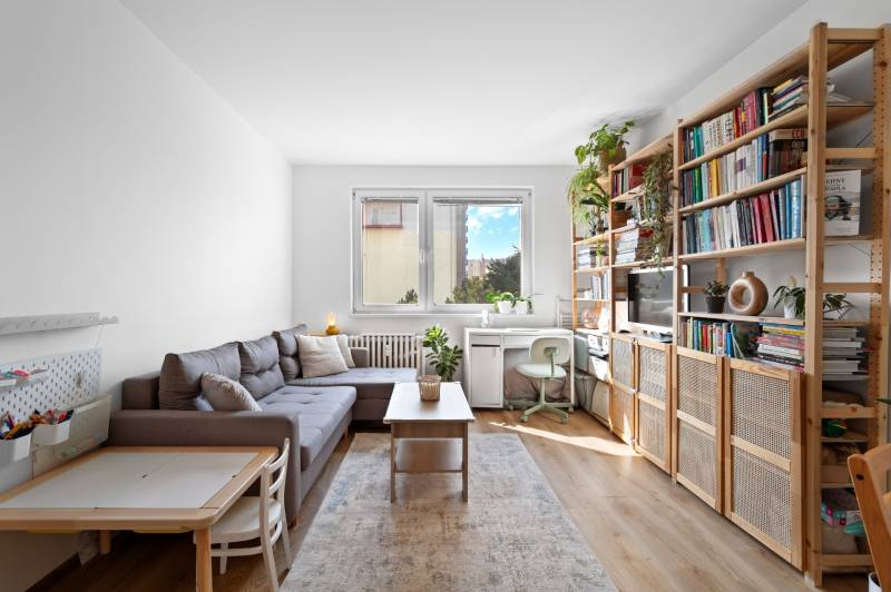 Sale One bedroom apartment, One bedroom apartment, Kpt. Jána Rašu, Bra