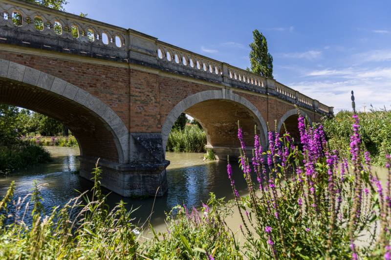 Sale Family house, Family house, Kaštieľska, Senec, Slovakia