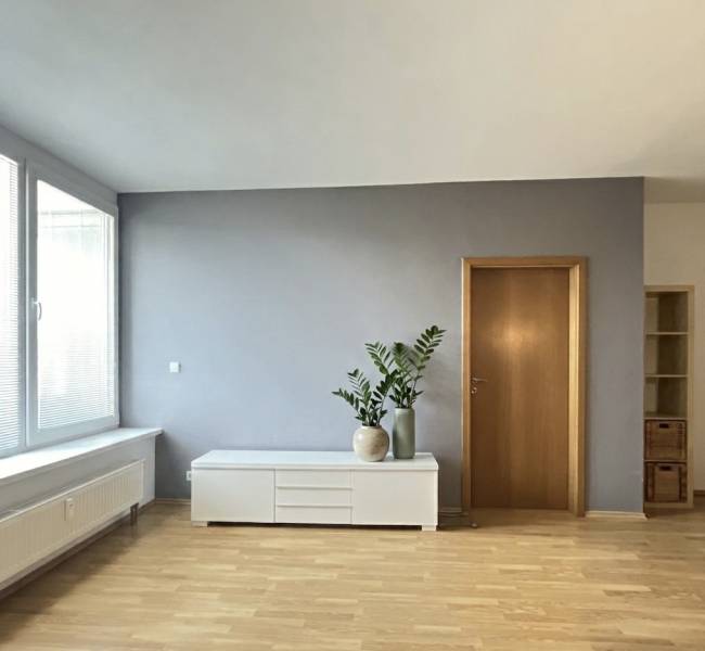 Rent One bedroom apartment, One bedroom apartment, Ružová dolina, Brat