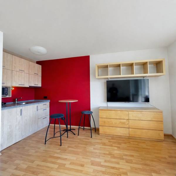 Rent Single studio, Single studio, Podunajská, Bratislava - Vrakuňa, S