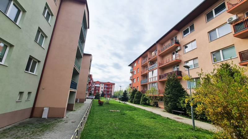 Sale Studio, Studio, Muškátová, Pezinok, Slovakia