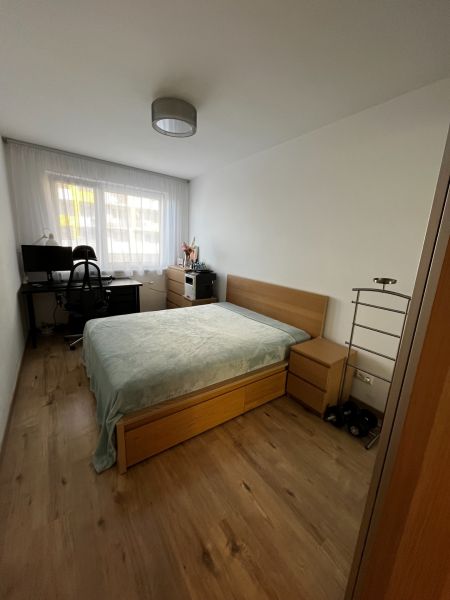 Rent Two bedroom apartment, Two bedroom apartment, mlynské nivy, Brati