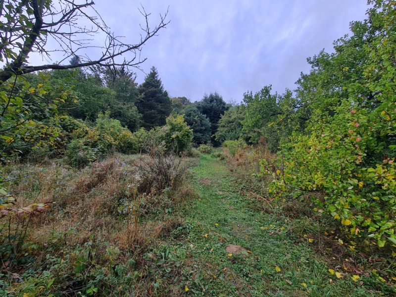 Sale Land – for living, Land – for living, Tavarikova osada, Bratislav