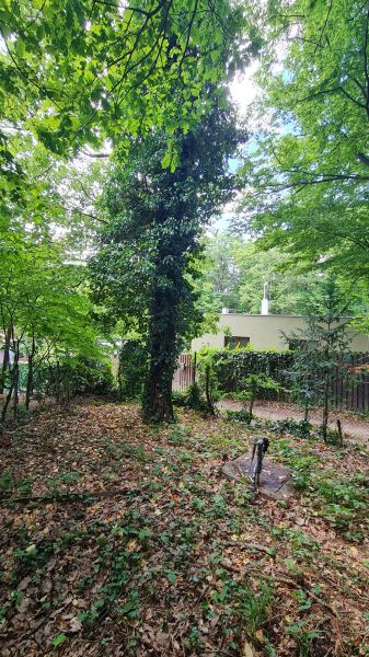 Sale Land – for living, Land – for living, Plánky, Bratislava - Záhors