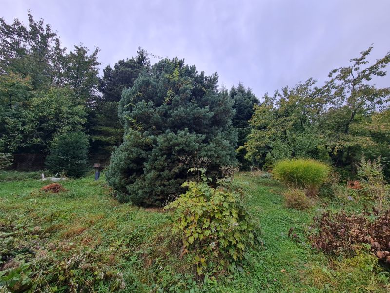 Sale Land – for living, Land – for living, Tavarikova osada, Bratislav