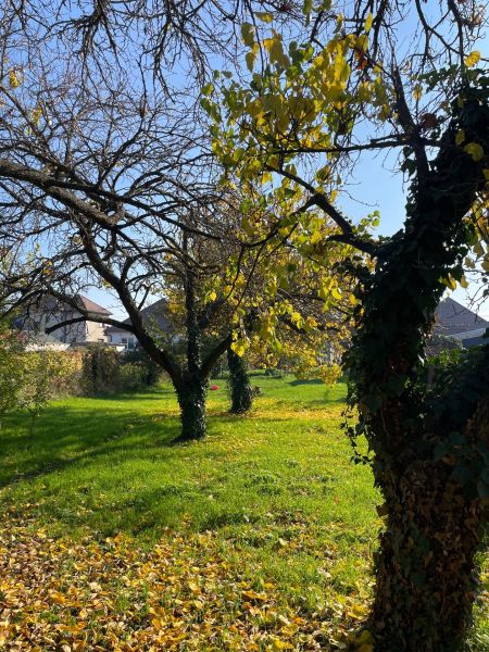 Sale Land – for living, Land – for living, Okružná, Senec, Slovakia