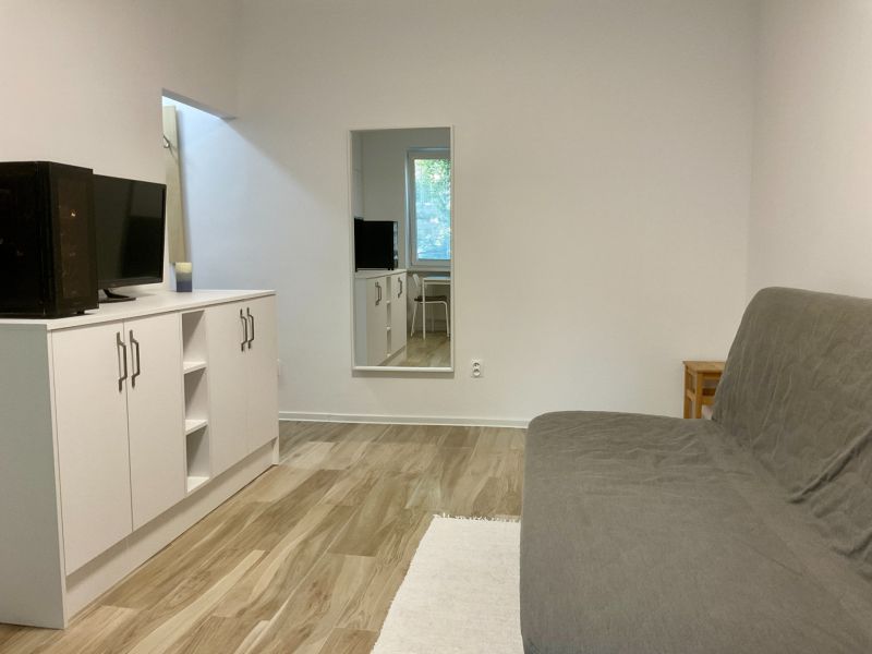 Sale Single studio, Single studio, Herlianska, Bratislava - Ružinov, S