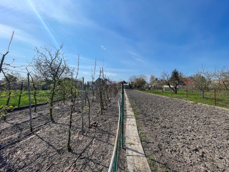 Sale Land – for living, Land – for living, Dunajská Streda, Slovakia