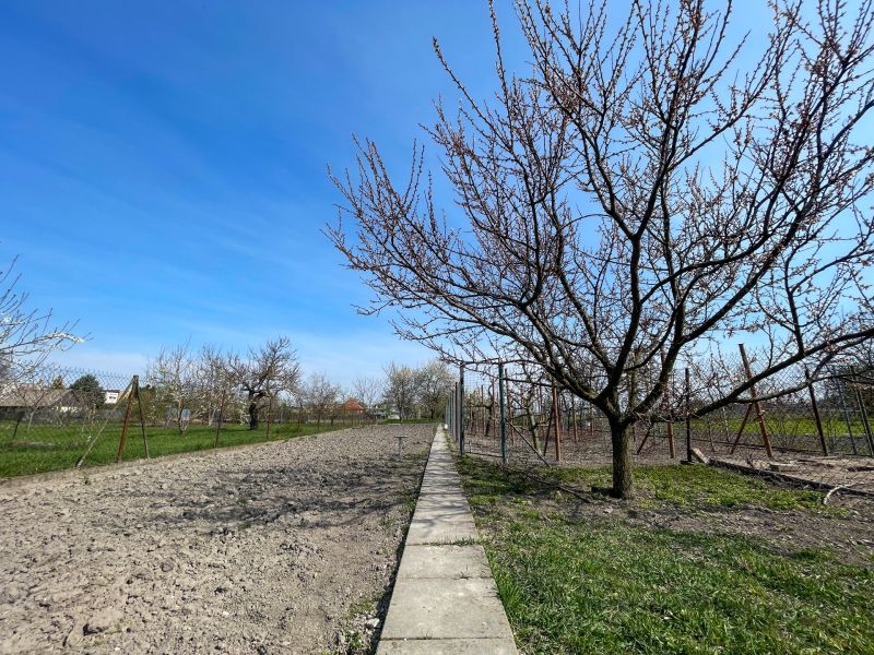Sale Land – for living, Land – for living, Dunajská Streda, Slovakia
