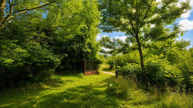 Sale Land – for living, Land – for living, Budovateľská, Malacky, Slov