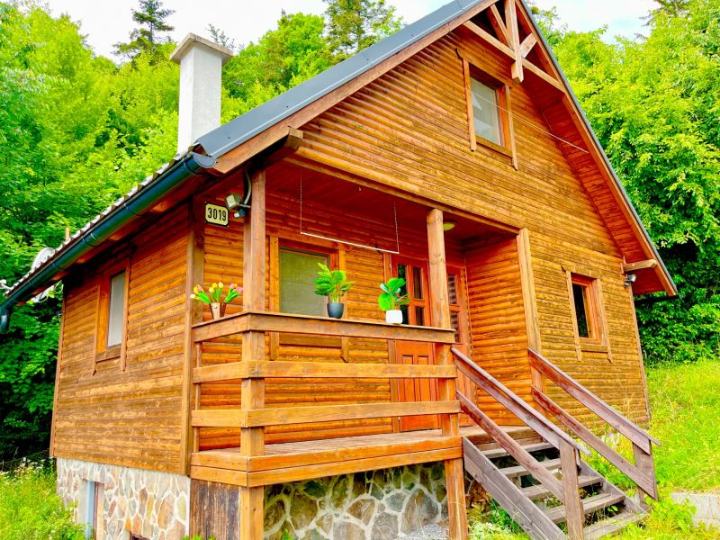 Sale Cottage, Cottage, Štefultov, Banská Štiavnica, Slovakia