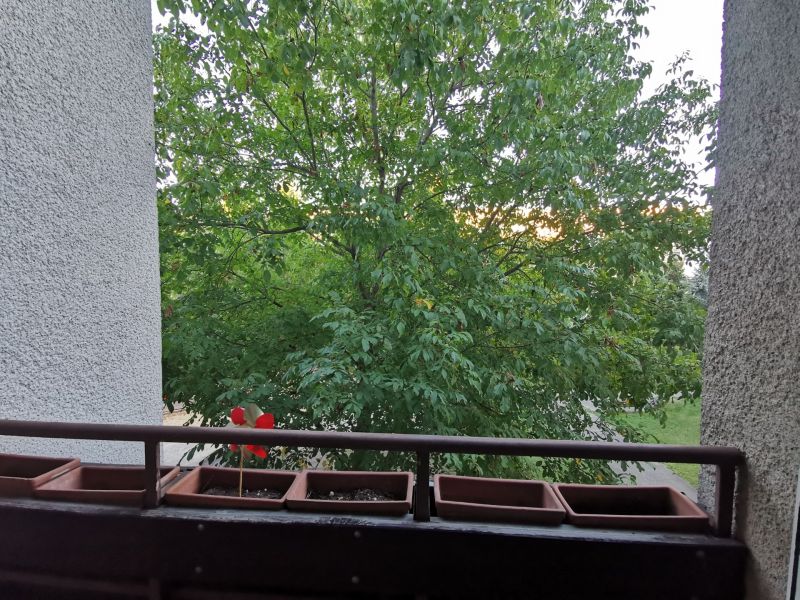 Rent Three bedroom apartment, Three bedroom apartment, Priekopnícka, B