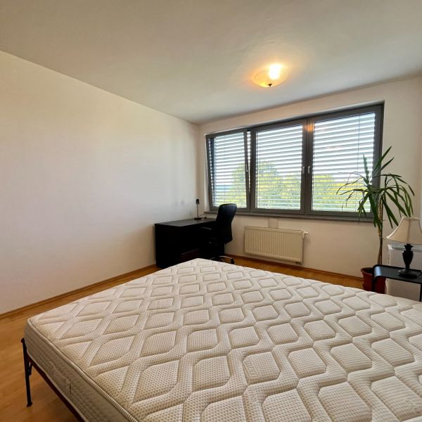 Rent One bedroom apartment, One bedroom apartment, Karloveské rameno, 